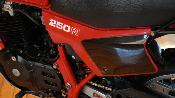 1982 Honda XL250R