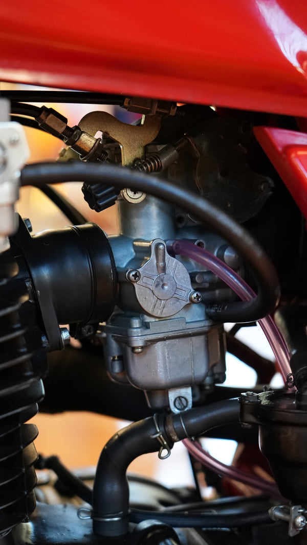 1982 Honda XL250R