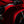 2026 Ducati Panigale V4