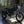 2027 Ducati Scrambler Nightshift