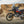 2027 Aprilia Tuareg Rally 660