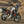2027 Aprilia Tuareg 660