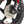 2027 Gas Gas MC-E2