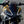 2027 Aprilia Tuono V4