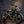 2027 Ducati Scrambler 800 Icon Dark