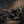 2027 Ducati Scrambler 800 Icon Dark