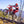 2026 Ducati Desmo 450 EDX