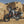 2027 Aprilia Tuareg 660