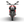 2026 Diavel V4