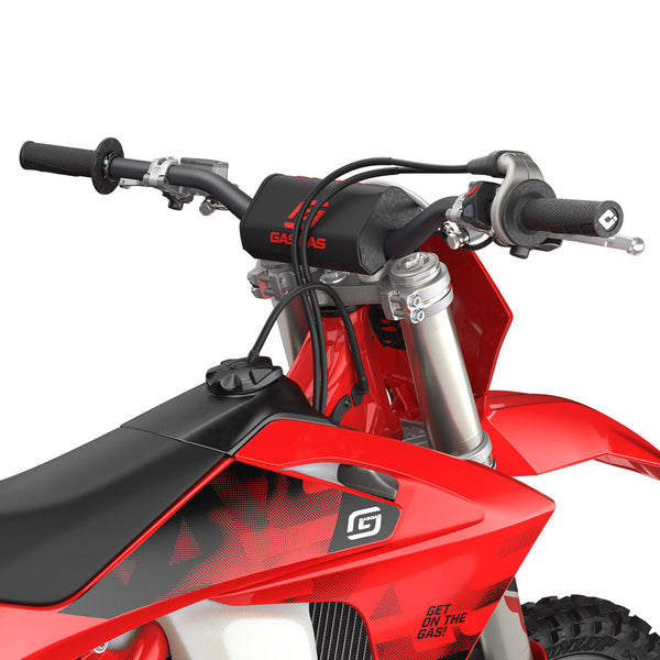 2026 GASGAS EX300