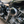 1954 HARLEY-DAVIDSON FL S PANHEAD