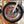 2000 Triumph Thunderbird 900