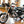 2000 Triumph Thunderbird 900