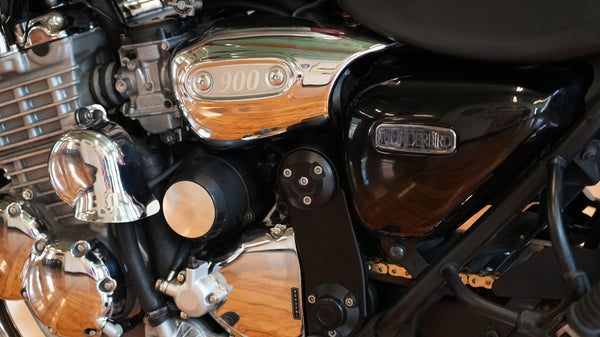 2000 Triumph Thunderbird 900