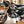 2000 Triumph Thunderbird 900