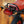 1988 Honda ZB50