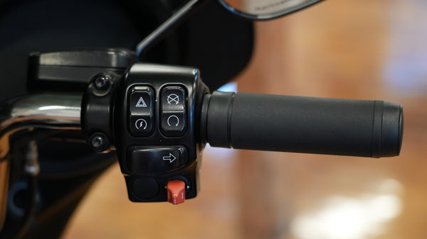 2019 HARLEY-DAVIDSON 131ci STREET GLIDE FLHS