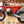 2025 GAS GAS EC250