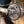 2025 GAS GAS EC250