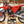 2025 GAS GAS MC150