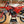 2025 GAS GAS MC150