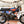 1972 Harley-Davidson Shortster