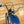 1972 Harley-Davidson Shortster