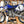 2008 Yamaha YZ250
