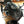 2026 Buell Hammerhead 1190