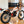 1987 Honda TLR200
