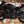2025 Yamaha YZF-R7