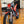 2024 Gas Gas TXT 300 Pro
