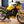 1984 Yamaha RZ350