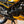 1984 Yamaha RZ350