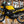 1984 Yamaha RZ350