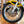 1984 Yamaha RZ350