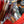 2007 Honda CR250R