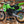 1985 Kawasaki KX125