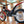 2008 Gas Gas TXT Pro 280