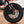 2022 Honda Monkey Z125 ABS