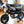 2022 Honda Monkey Z125 ABS