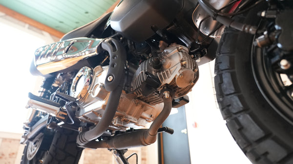 2022 Honda Monkey Z125 ABS