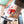 1991 Honda Cub EZ90
