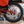 1981 Honda XR80