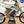 2003 CANNONDALE X440