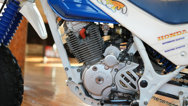 1987 HONDA FAT CAT TR200