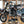 2010 Pitster Pro 160