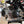 2010 Pitster Pro 160