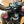2010 Pitster Pro 160
