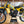 1982 Suzuki RM125